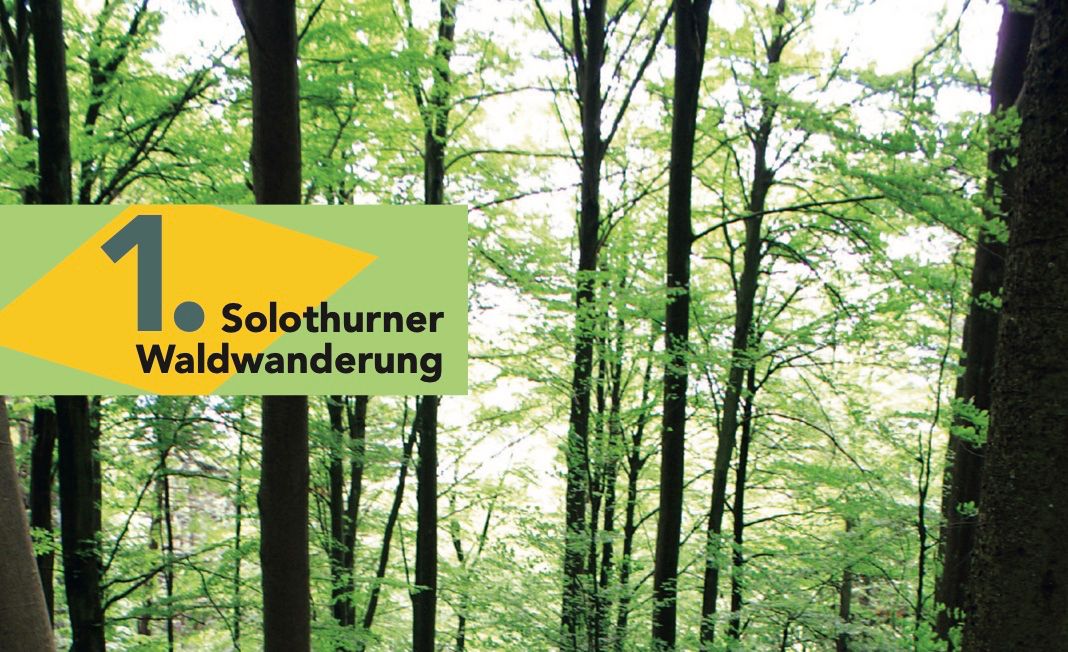 Solothurner Waldwanderung 1