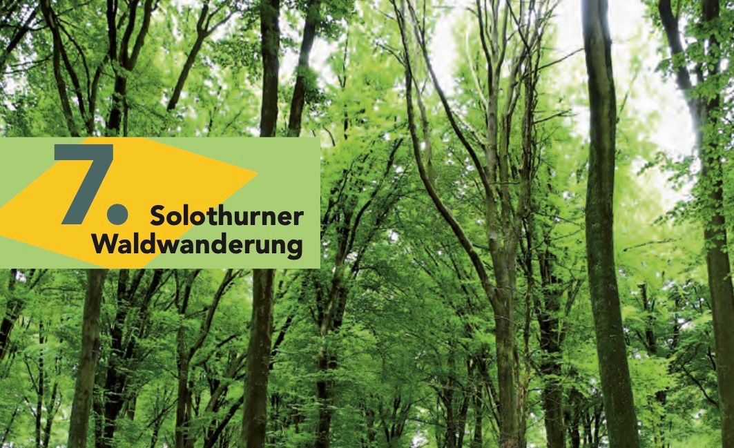 Solothurner Waldwanderung 7
