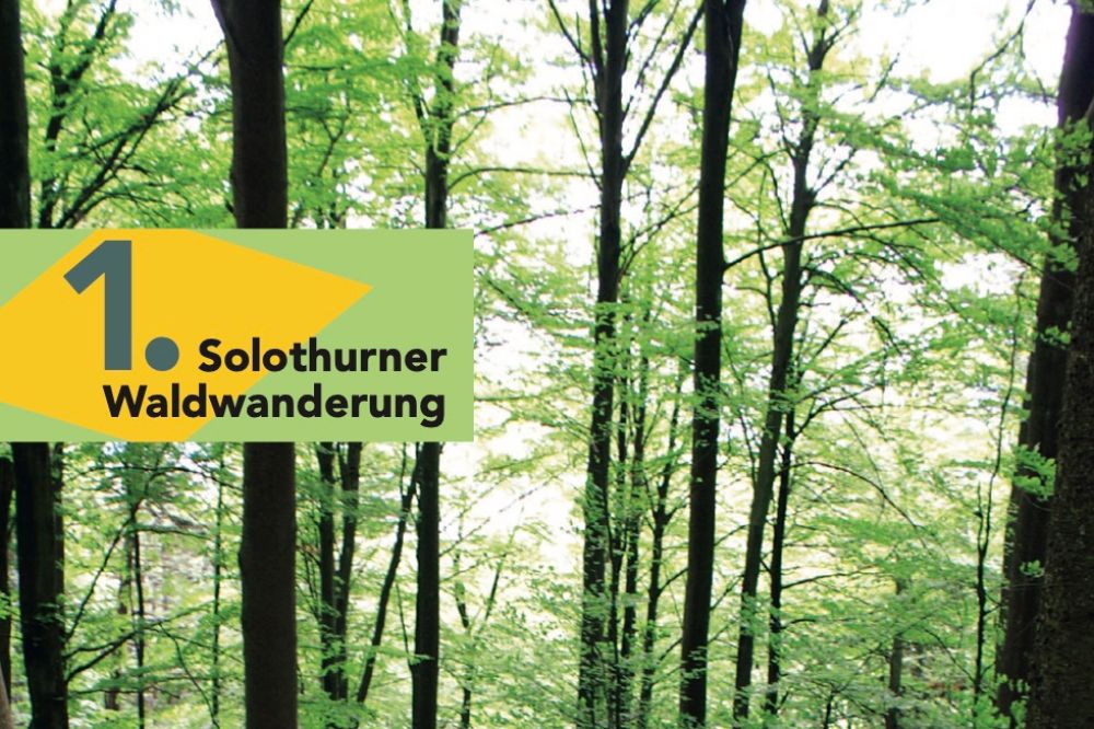 Solothurner Waldwanderung 1