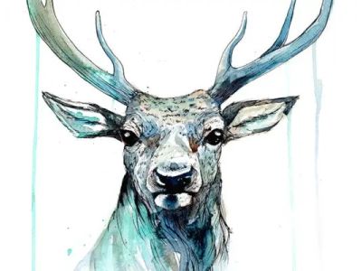 Die Wilde 13