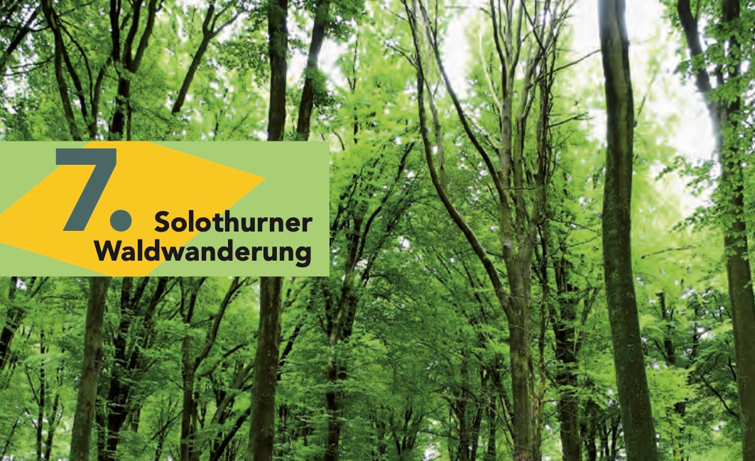 Waldwanderung im Gäu