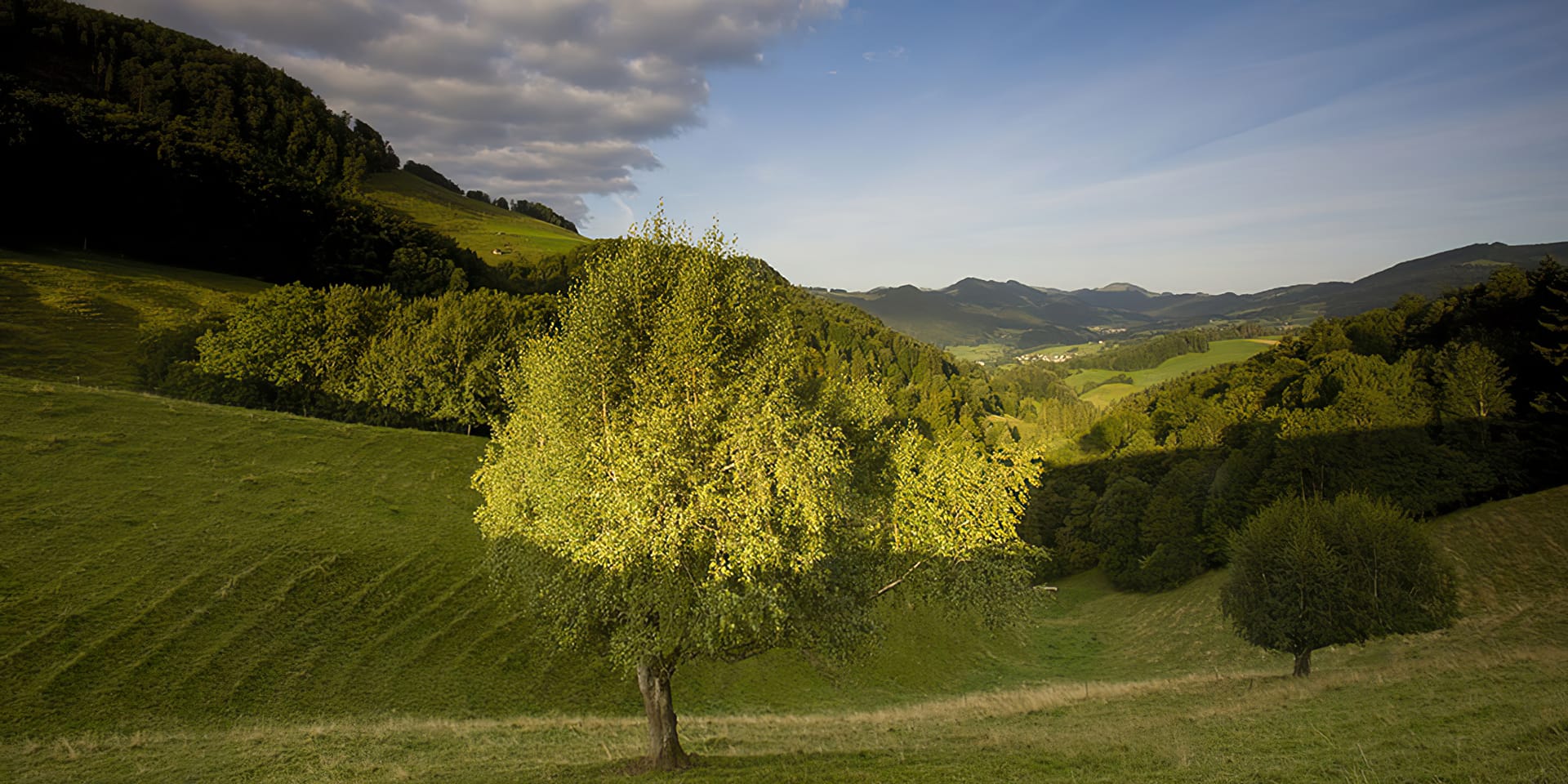 Juraweg Thal im Naturpark Thal