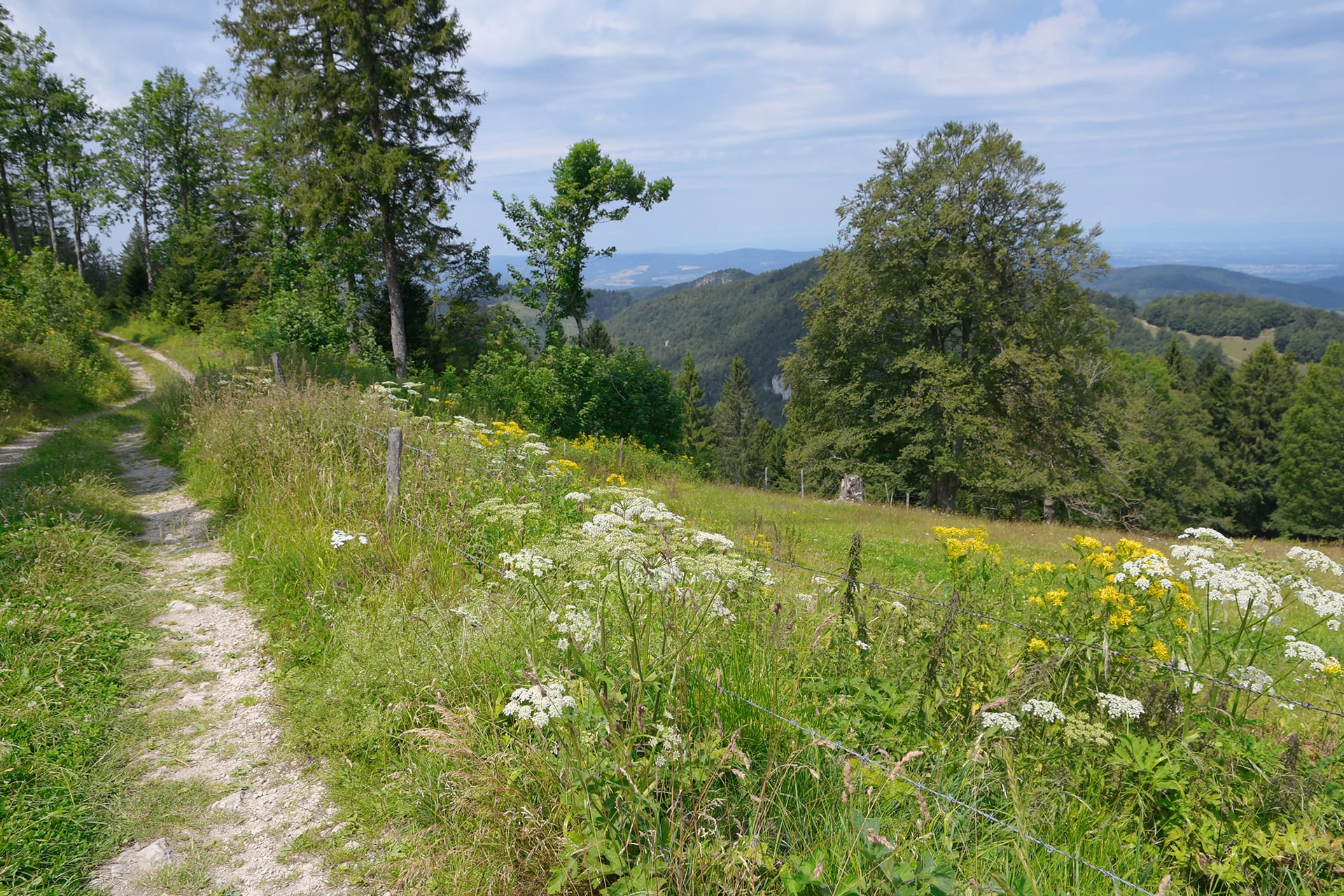 Panoramakarte Naturpark Thal
