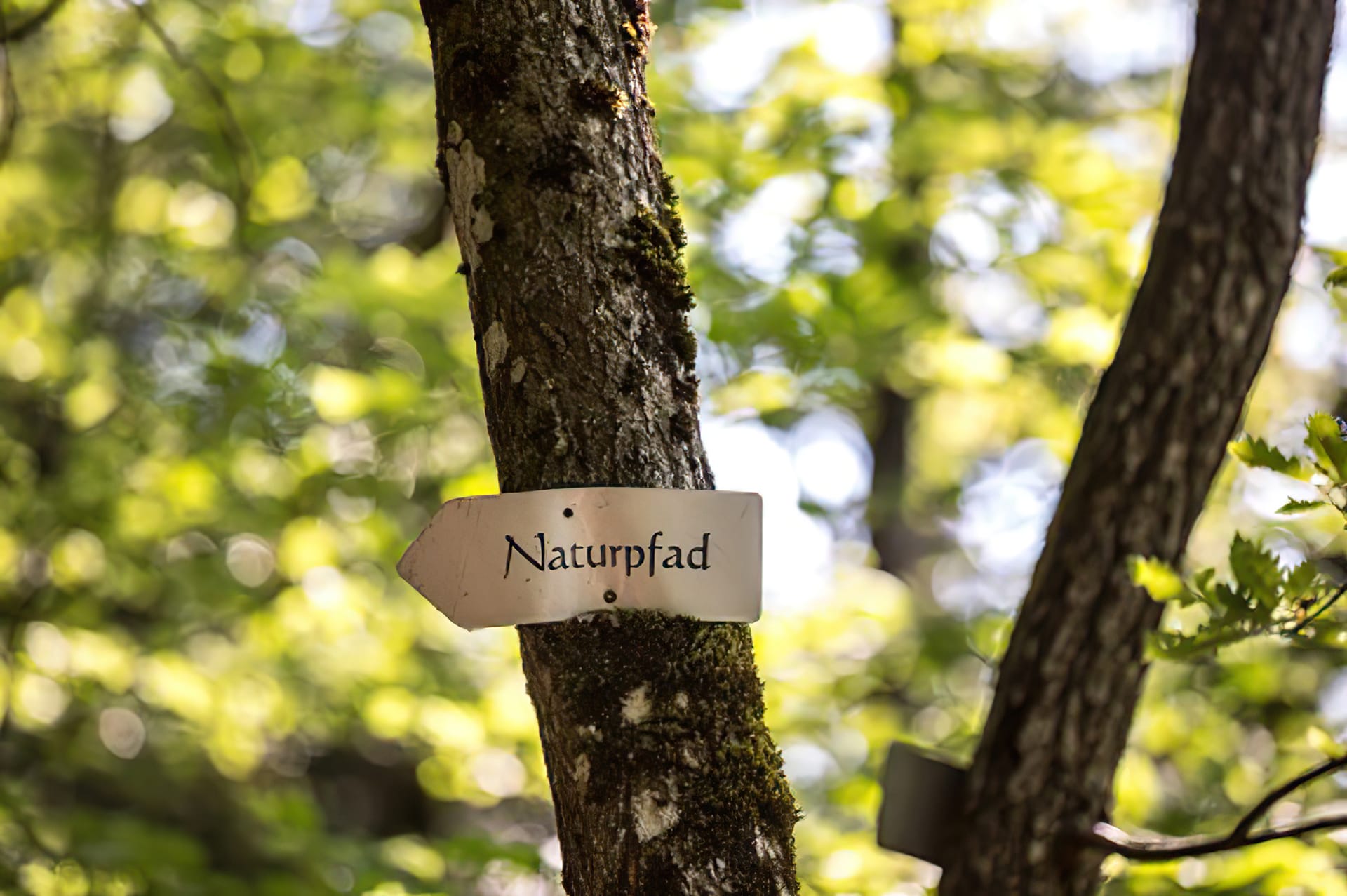 Naturpfad Egerkingen